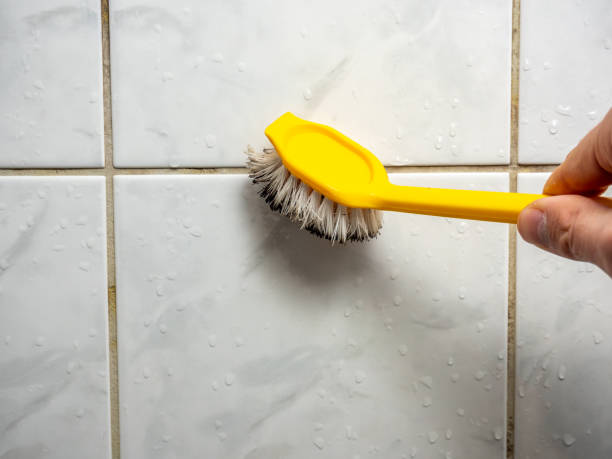 Trusted Fabens, TX Mold Removal Experts