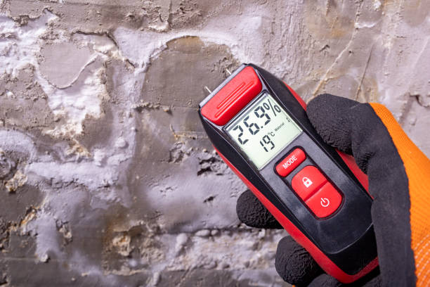 Best Water Damage Restoration  in Fabens, TX